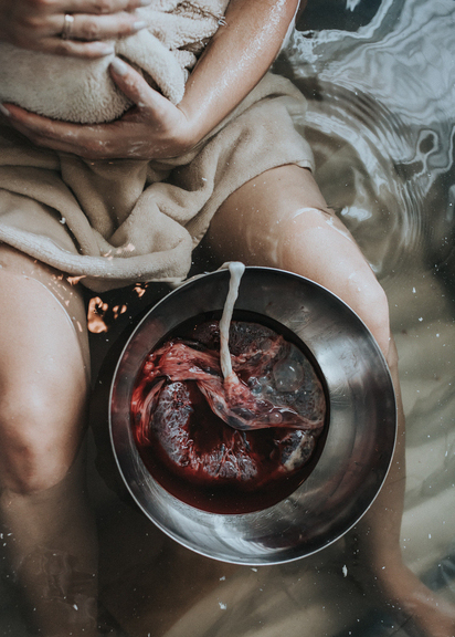 color-image-of-placenta-courtesy-of-los-angeles-birth-photography-and-placenta-encapsulation-services-dear-birth